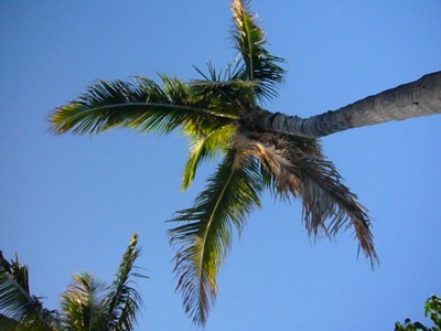 d0035269_1982446.jpg