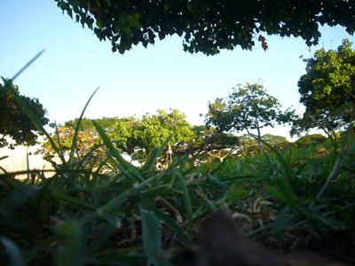 d0035269_1983690.jpg