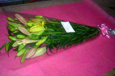 e0097770_22534268.jpg