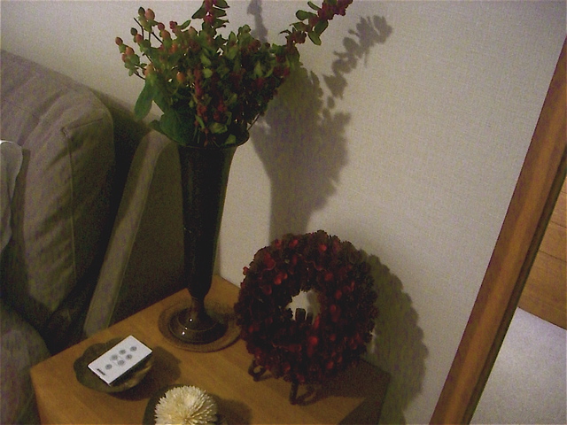 e0018777_22433598.jpg
