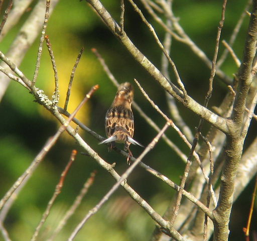 e0018678_21354523.jpg