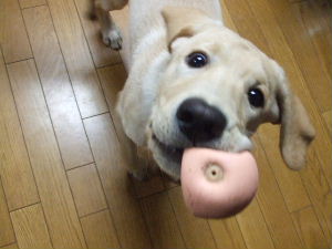 f0005081_20124865.jpg