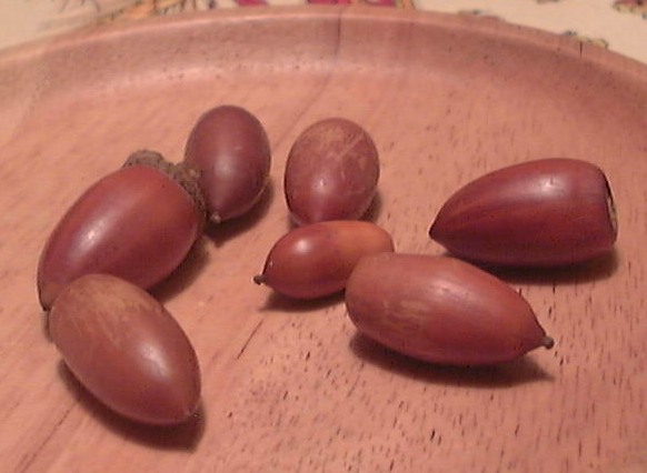 f0039281_9144827.jpg