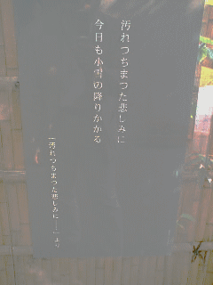 c0037384_2021331.gif