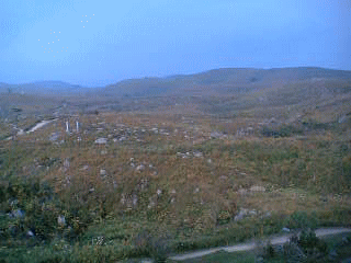c0037384_20551269.gif