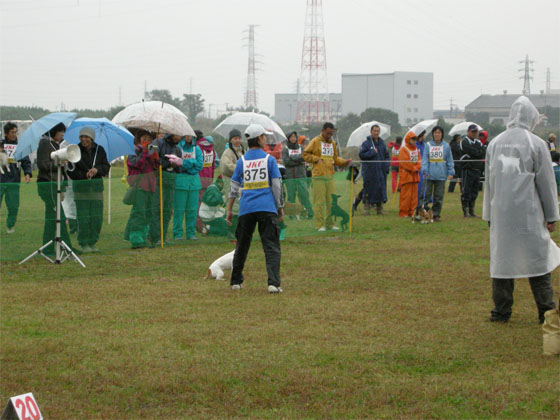 d0001985_012532.jpg