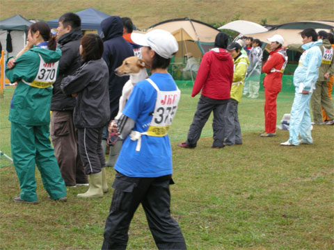 d0001985_0333833.jpg