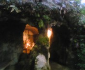 b0080090_014625.jpg
