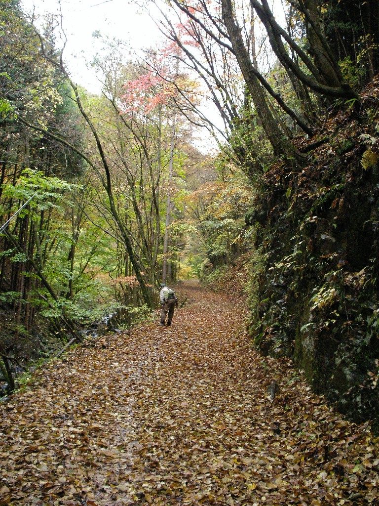 f0092492_124101.jpg