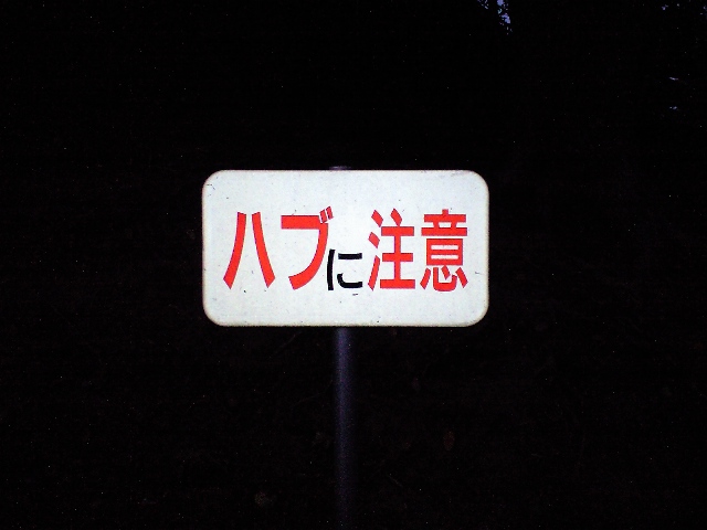 f0042295_23424477.jpg