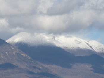 b0115497_1819498.jpg