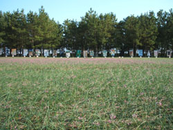 f0048405_94926100.jpg