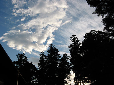 a0041508_23574910.jpg