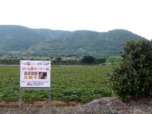 b0076710_14251734.jpg