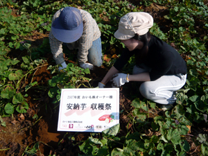 b0076710_14283732.jpg