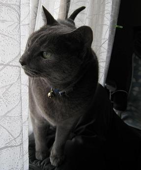 c0066610_1712440.jpg