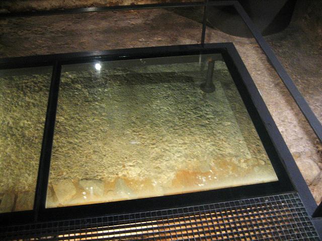 b0064411_208549.jpg