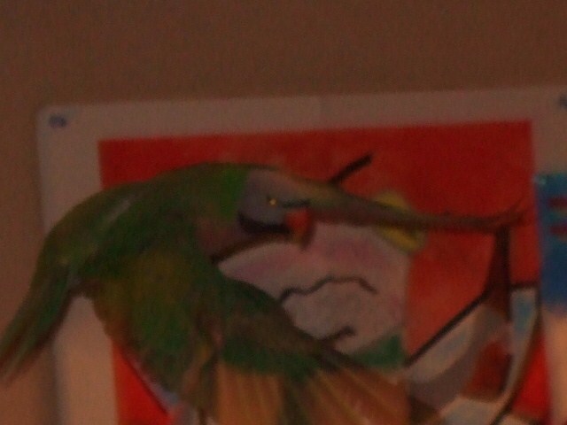 c0133013_0144810.jpg