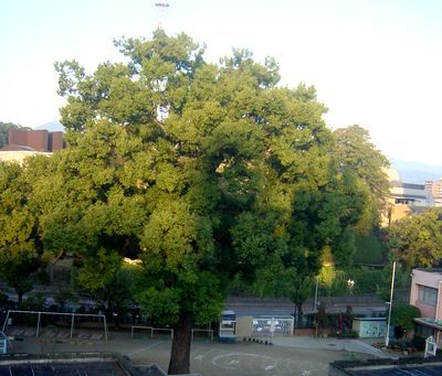 a0037414_9561310.jpg