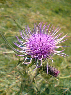 d0024220_21431064.jpg