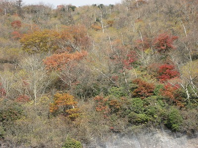 f0139520_4131461.jpg