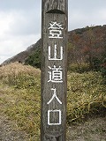 f0139520_4145495.jpg