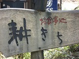 f0139520_4524455.jpg