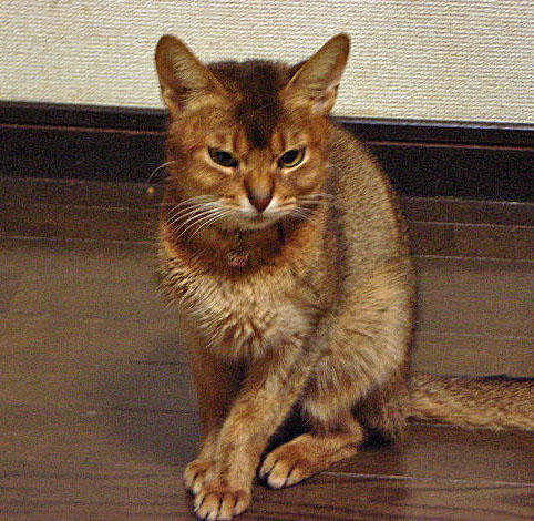 d0081025_2139109.jpg