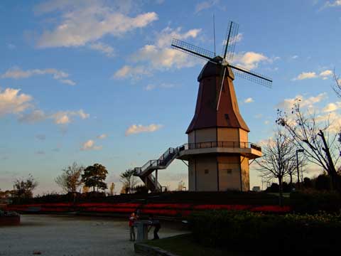 f0147025_2223433.jpg