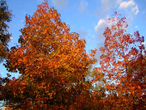 f0147025_22245187.jpg