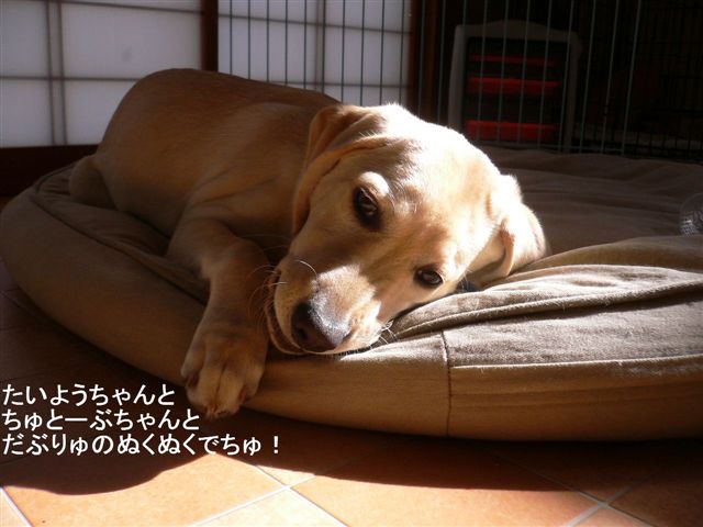 d0123930_15121638.jpg