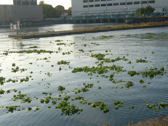 f0050132_18344117.jpg