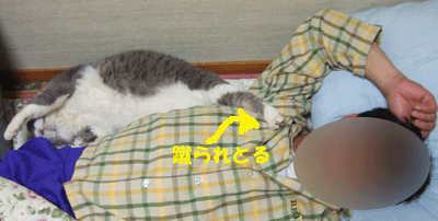 f0008935_1254680.gif