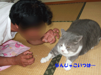f0008935_125922.gif