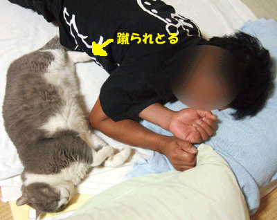 f0008935_126192.gif