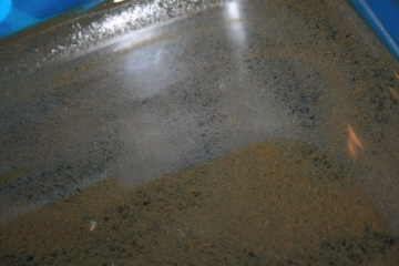 e0104941_7504181.jpg