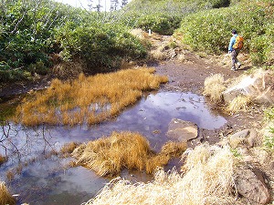 f0065941_21575232.jpg