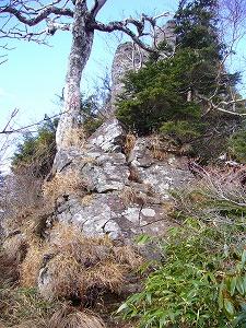f0065941_225560.jpg