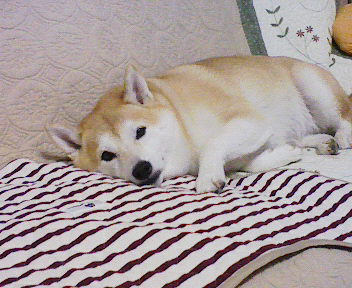 f0075043_1855932.jpg