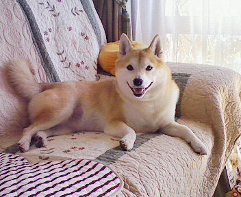 f0075043_1855946.jpg