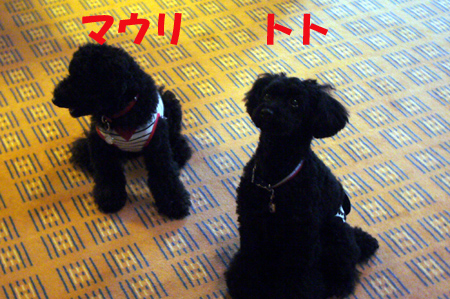 d0070047_20572965.jpg