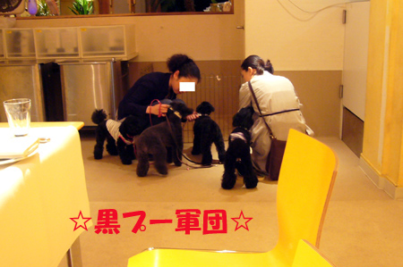 d0070047_2111152.jpg