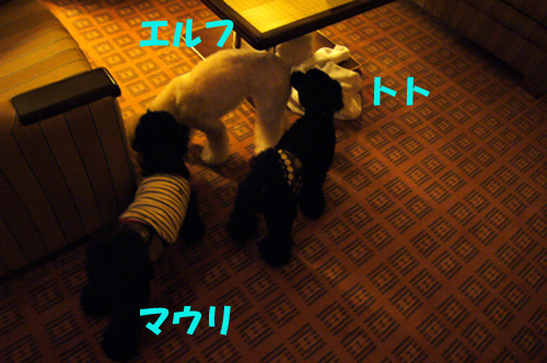 d0070047_21736.jpg