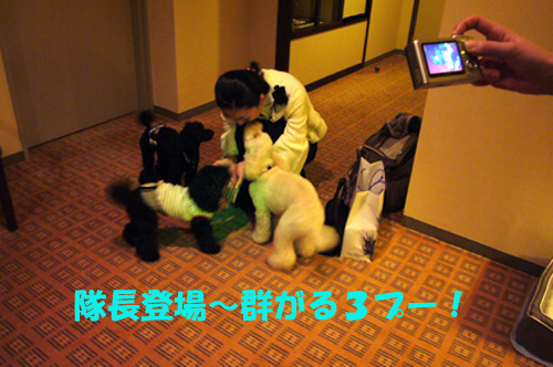 d0070047_2183436.jpg