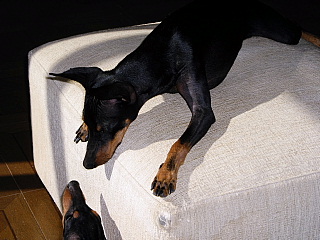 c0123149_17302247.jpg