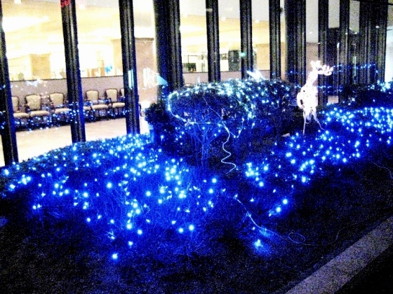 f0136850_0253542.jpg