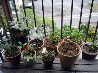 c0147952_22561530.jpg