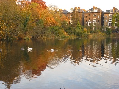 e0077152_1562181.jpg