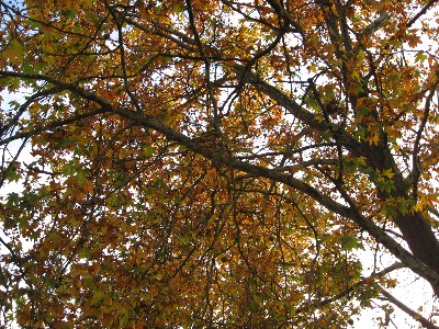 e0077152_2313529.jpg