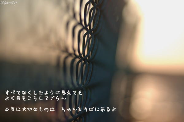 c0144353_9455243.jpg